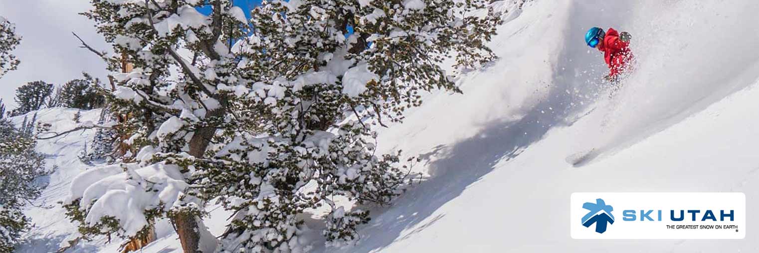 Snow Report - Skier Getting Covered in the Greatest Snow on Earth
