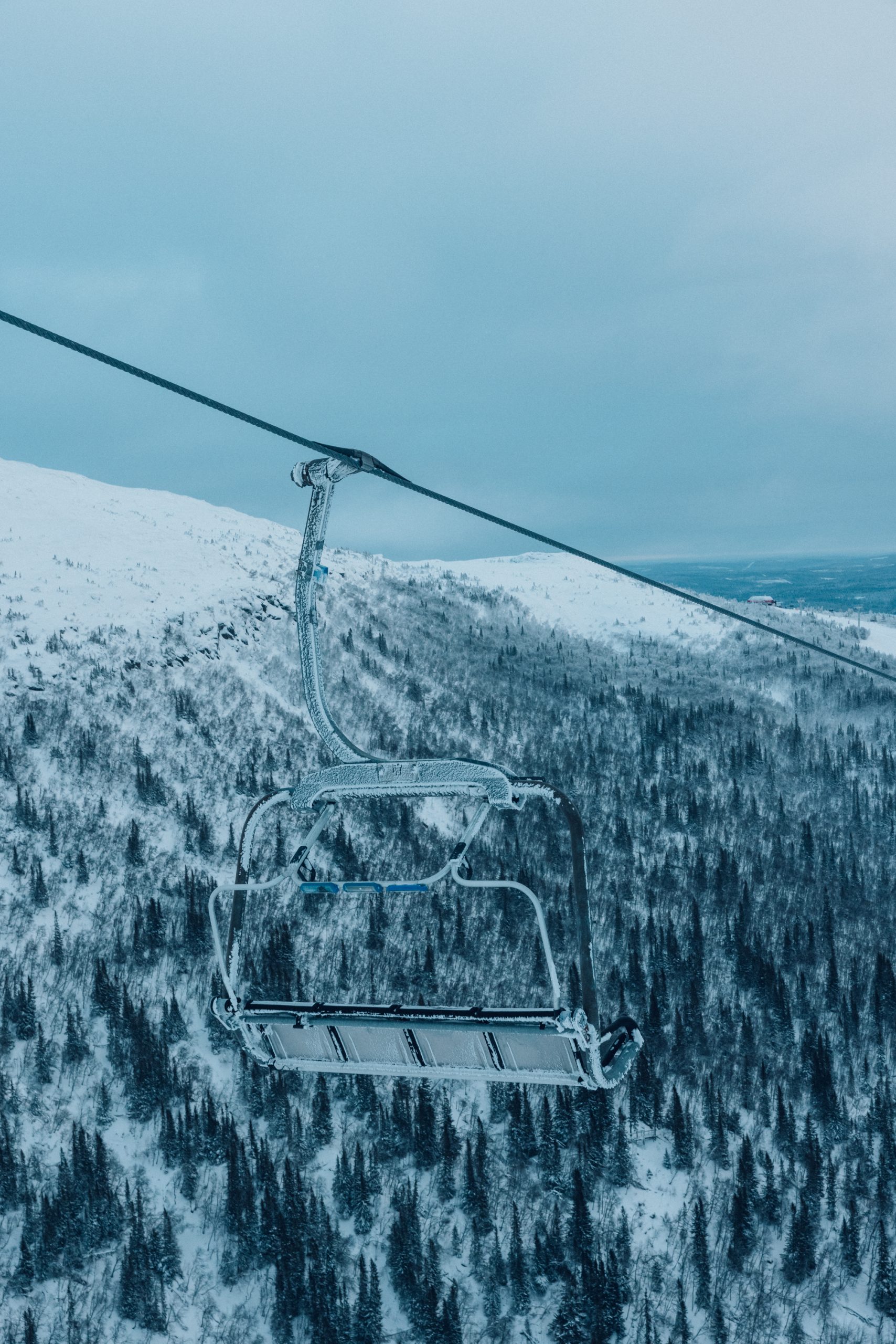 chairlift with snow covered trees